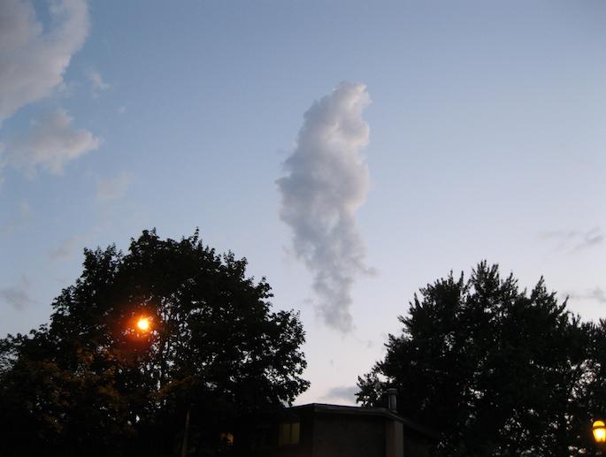 Le nuage entre deux arbres © Jeangagnon CC BY-SA 3.0