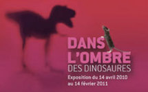 Jusqu'au 13 juin 2011 : "Dans l'ombre des dinosaures"