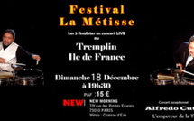 18 décembre 2011 : 10ème édition du Festival Tremplin Ile de France La Métisse 